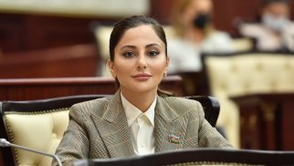 Ərzaq təhlükəsizliyi ölkənin müstəqil siyasət yürütməsi deməkdir