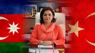 Vətən sevgisinin qığılcımları...professor Ayün Attar yazır