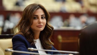 Azərbaycanın təklif etdiyi 5 baza prinsipi beynəlxalq hüquq normalarına söykənir