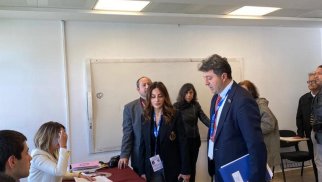 Əminə Ağazadə: \