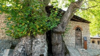 Mədəni irsin öyrənilməsi, qorunması və təbliğinə bələdiyyələrin dəstəyinin nümunəvi formatı yaradılacaq
