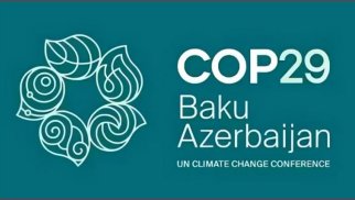 COP29 sülh prosesinin nəticəsidir