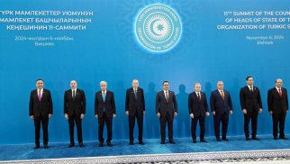 Türk birliyinin əyani göstəricisi

