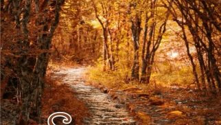 “Sonuncu hərbi əmr” təkrar nəşr olunub