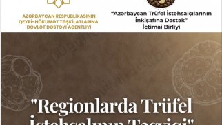 &ldquo;Regionlarda trüfel istehsalının təşviqi&rdquo; layihəsinin icrasına start verilib